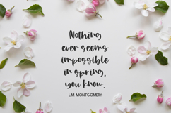 Apple Blossom Script Product Image 5