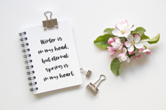 Apple Blossom Script Product Image 8