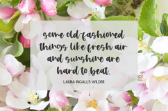 Apple Blossom Script Product Image 9