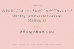 Apricity Script Product Image 10