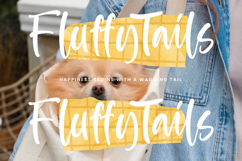 Apricot Bubbles - Modern Handwritten Font Product Image 15