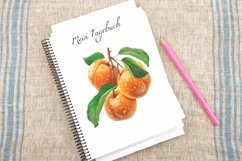 Watercolor Apricot Clipart Bundle Product Image 4