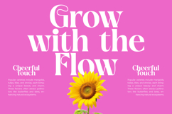 April Kaget - Modern Serif Font Product Image 9