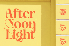 April Kaget - Modern Serif Font Product Image 12