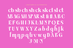 April Kaget - Modern Serif Font Product Image 18