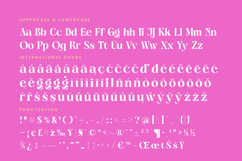 April Kaget - Modern Serif Font Product Image 19