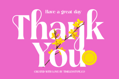 April Kaget - Modern Serif Font Product Image 20