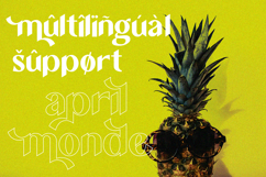 April Monde - Modern Sans Font Product Image 11