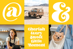 Aprohite - Modern Retro Serif Font Product Image 7