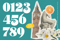 Aprohite - Modern Retro Serif Font Product Image 8