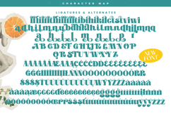 Aprohite - Modern Retro Serif Font Product Image 19