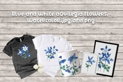 aquilegia flowers watercolor