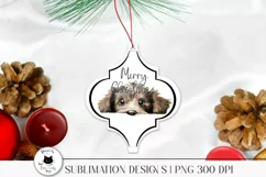 christmas ornament with a cute peeking poodle
