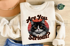 Are you serious Sublimation PNG Product Image 3