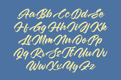 Aretlar Eraghes - Bold Calligraphy Font Type Product Image 13