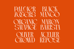 Arganica Brannds - Stylish Display Serif Font Product Image 3