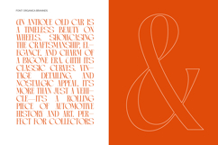 Arganica Brannds - Stylish Display Serif Font Product Image 4