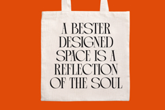 Arganica Brannds - Stylish Display Serif Font Product Image 5