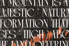 Arganica Brannds - Stylish Display Serif Font Product Image 8