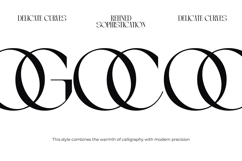 Arganica Brannds - Stylish Display Serif Font Product Image 12