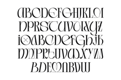 Arganica Brannds - Stylish Display Serif Font Product Image 14