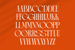 Arganica Brannds - Stylish Display Serif Font Product Image 15