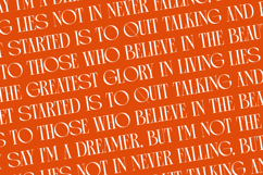 Arganica Brannds - Stylish Display Serif Font Product Image 17