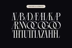 Arganica Brannds - Stylish Display Serif Font Product Image 18