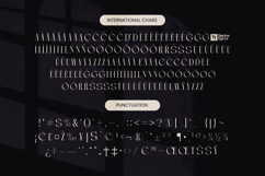 Arganica Brannds - Stylish Display Serif Font Product Image 19