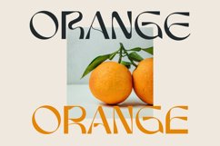 Argelha Modern Sans Product Image 2