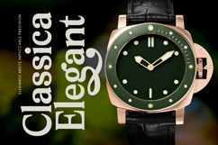 Arguys Regret - Display Serif Font Product Image 5