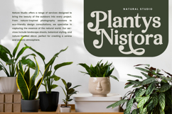 Arguys Regret - Display Serif Font Product Image 6