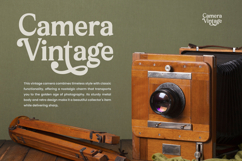 Arguys Regret - Display Serif Font Product Image 8