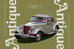 Arguys Regret - Display Serif Font Product Image 10