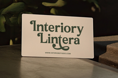 Arguys Regret - Display Serif Font Product Image 11