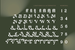 Arguys Regret - Display Serif Font Product Image 18