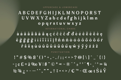 Arguys Regret - Display Serif Font Product Image 19