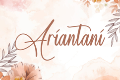 Ariantani Font Product Image 8