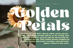 Arilast Kingde - Modern Alternate Serif Font Product Image 6