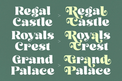 Arilast Kingde - Modern Alternate Serif Font Product Image 8