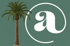 Arilast Kingde - Modern Alternate Serif Font Product Image 11