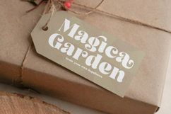 Arilast Kingde - Modern Alternate Serif Font Product Image 13