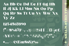 Arilast Kingde - Modern Alternate Serif Font Product Image 18