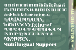 Arilast Kingde - Modern Alternate Serif Font Product Image 19