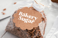 Aroma Baked - Modern Serif Font Product Image 12