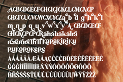 Aroma Baked - Modern Serif Font Product Image 18