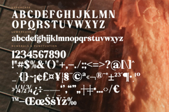 Aroma Baked - Modern Serif Font Product Image 19