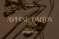 Arphine Dalton Font Product Image 1