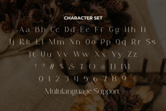 Arphine Dalton Font Product Image 5
