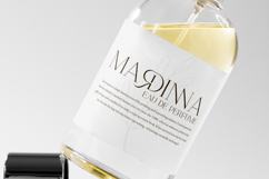 Arphine Dalton Font Product Image 6